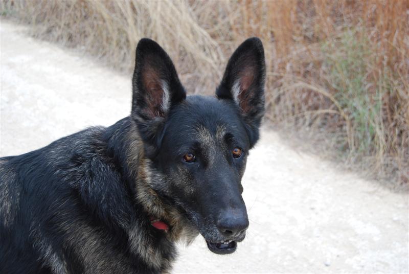 Family friends hopehouse jan thru march 08 004 (Medium)