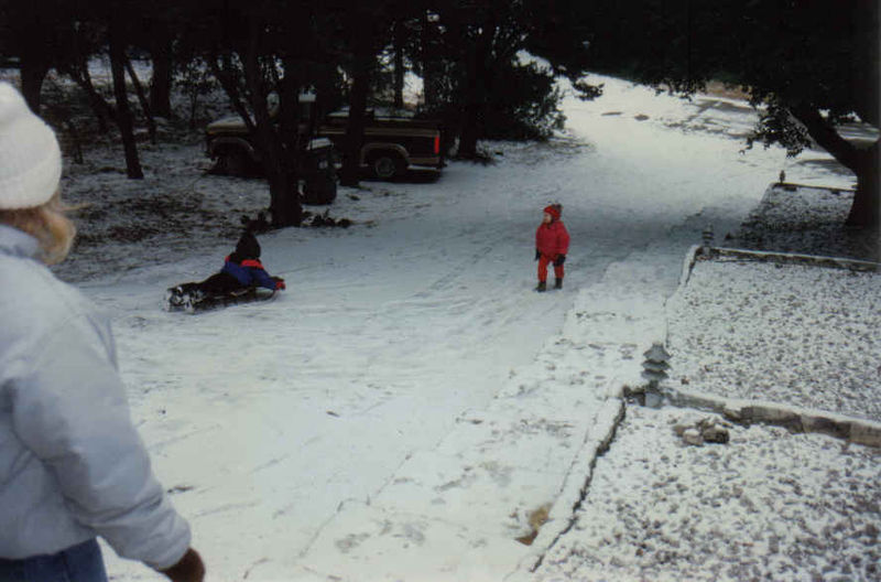 Feb 1996 d and k sledding wynn's driveway