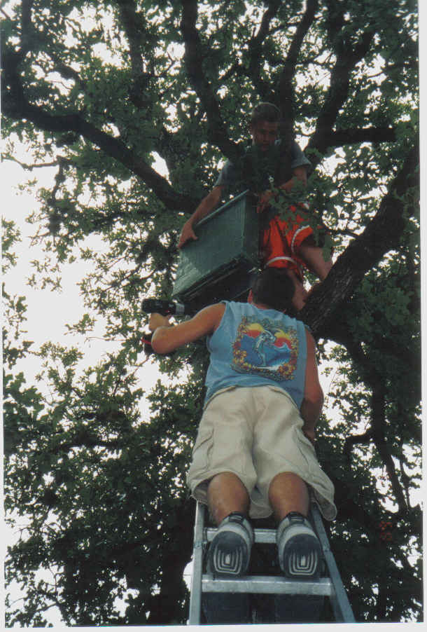 Tommy and Matt hanging bat houses 2003ish