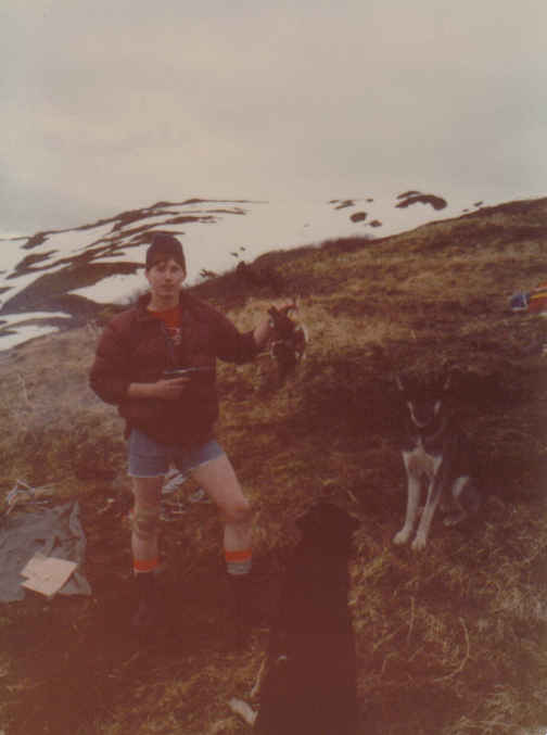 Tom kodiak and pheasant