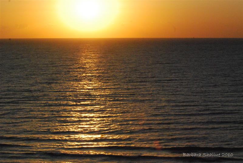 DSC_0313-1 (Medium) (2)