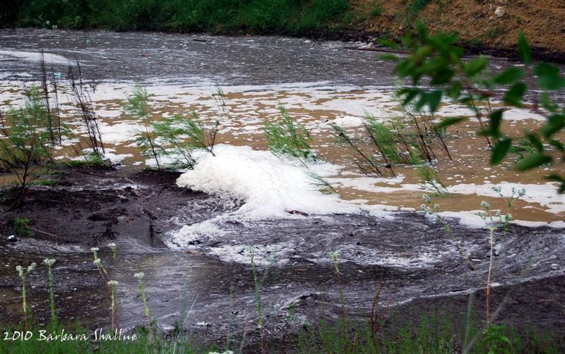 Suds in big pond (Medium)