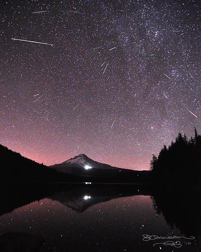 Perseid Meteor Shower