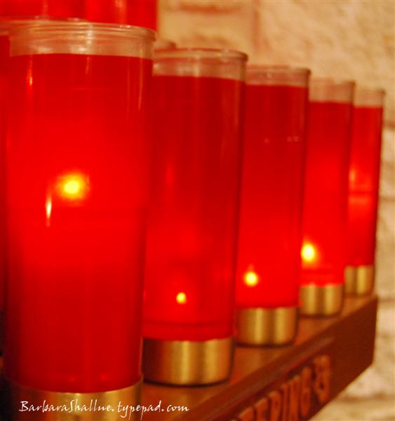 DSC_0085 crop (Medium)