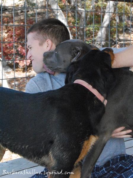 DSC_0011 cropped (Medium)