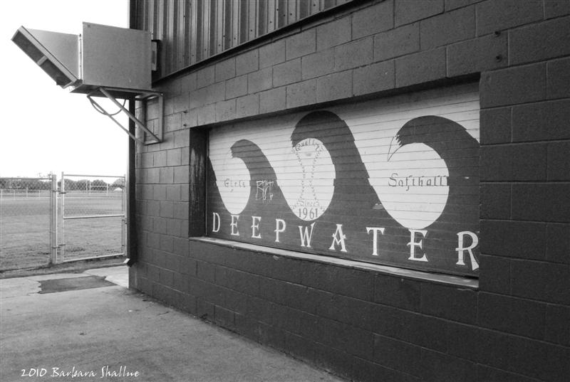 DSC_0299 b and w (Medium)