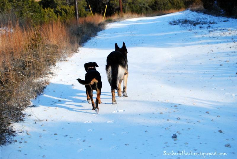 DSC_0288 (Medium) (2)