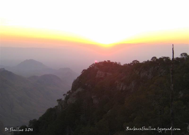 IMG_2351sign (Medium)