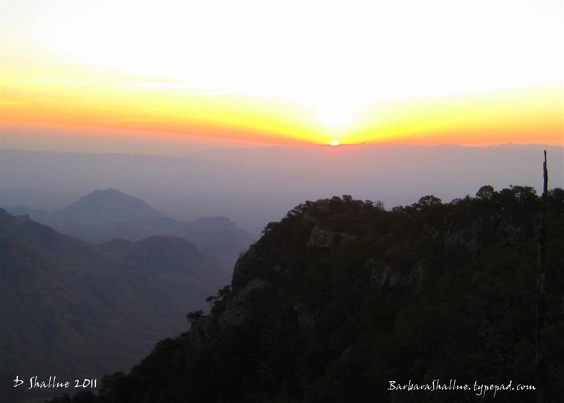 IMG_2346sign (Medium)