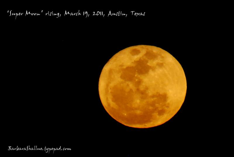 DSC_0018-1tagged (Medium)