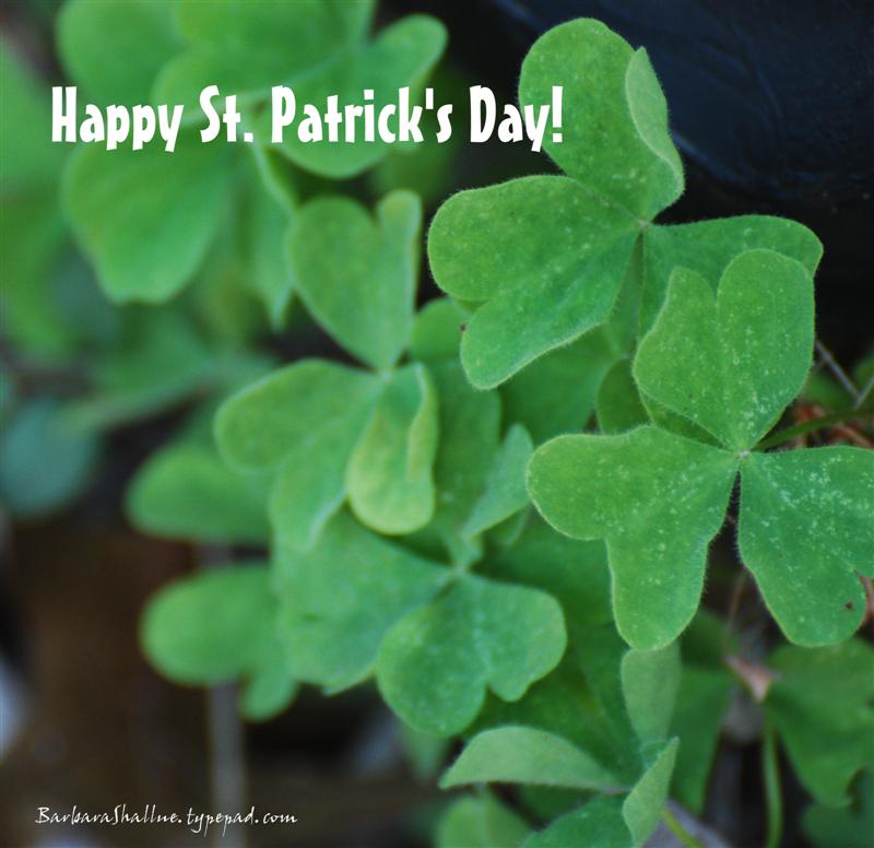 DSC_0082sign (Medium)