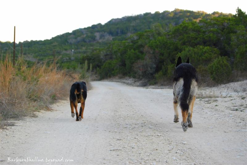 DSC_0029sign (Medium)