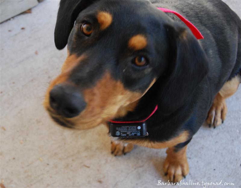 DSC_0006sign (Medium)