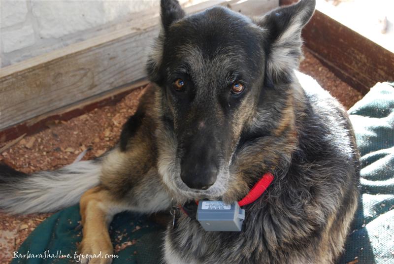 DSC_0004sign (Medium)