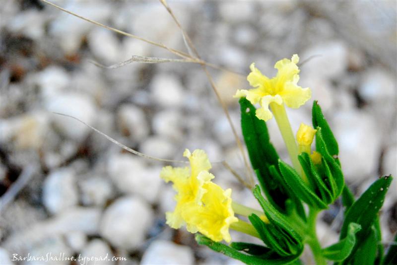 DSC_0045signed (Medium)