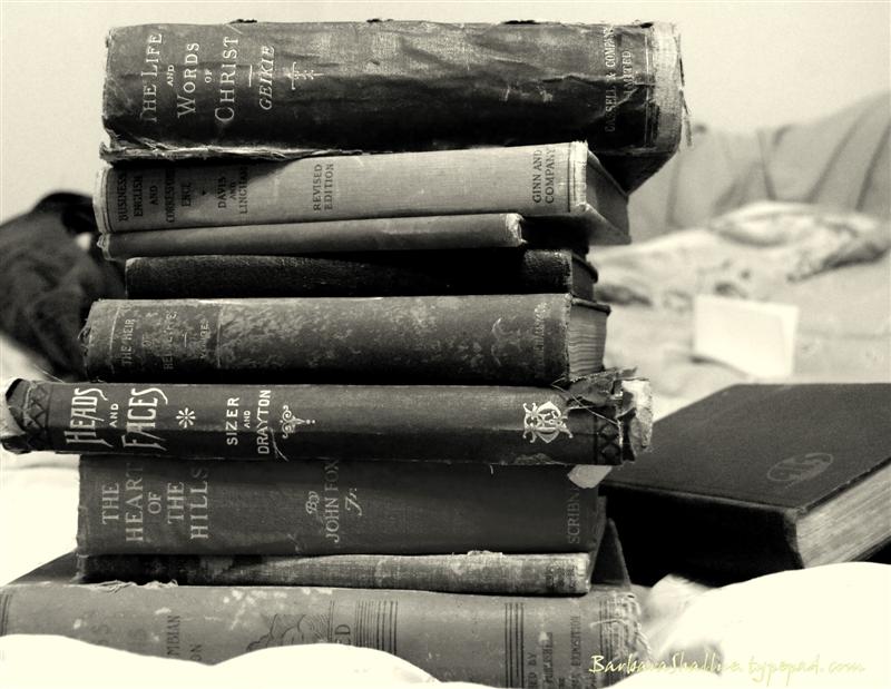 DSC_0419b&w2 (Medium)