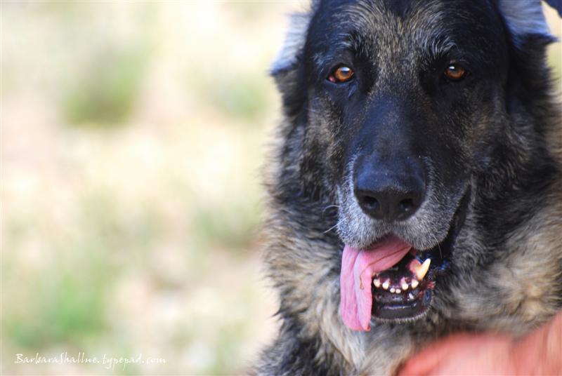 DSC_0050sign (Medium)