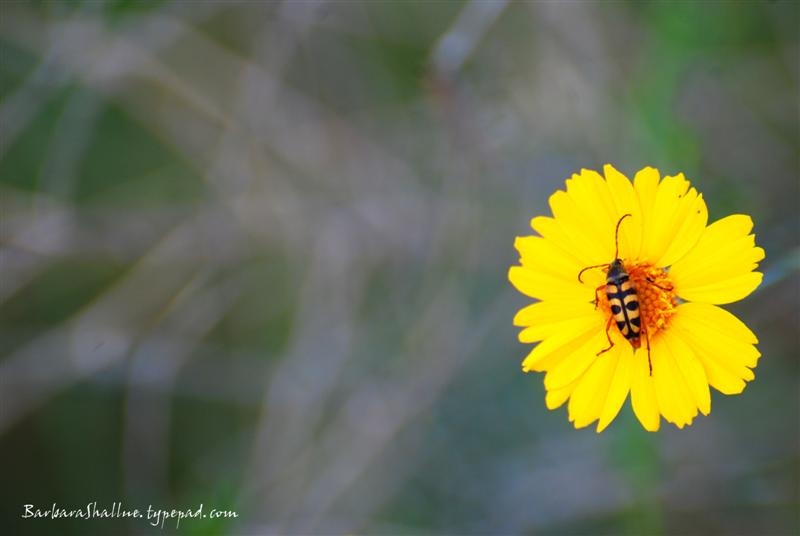 DSC_0023sign (Medium)