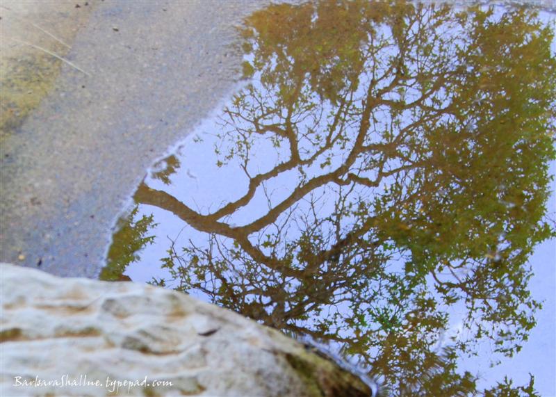 DSC_0038sign (Medium)