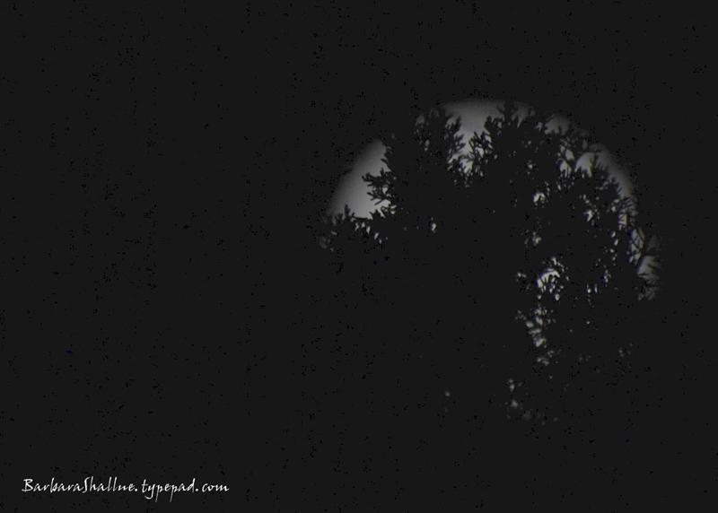 DSC_0153sign (Medium)