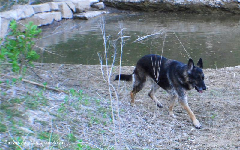 DSC_0020sign (Medium)