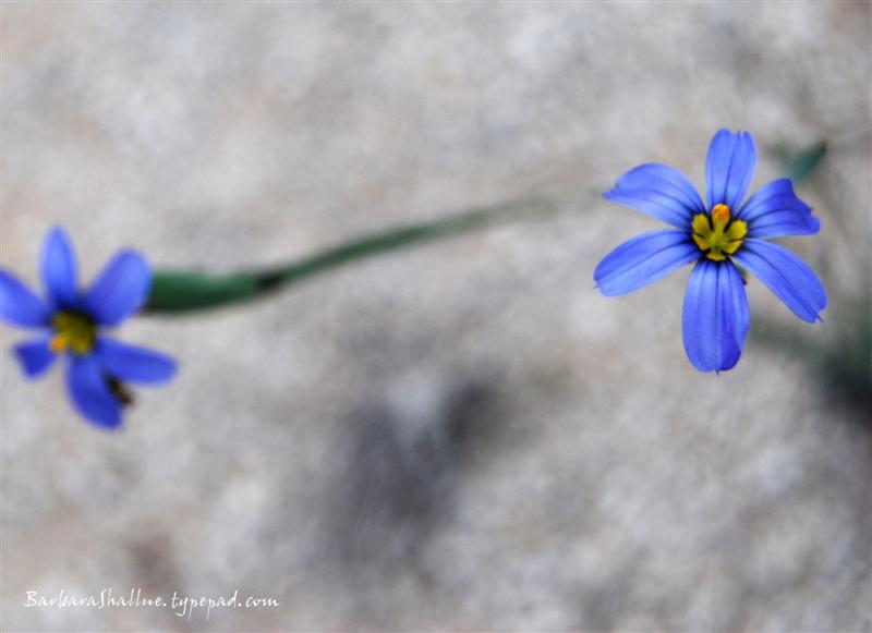 DSC_0035sign (Medium)