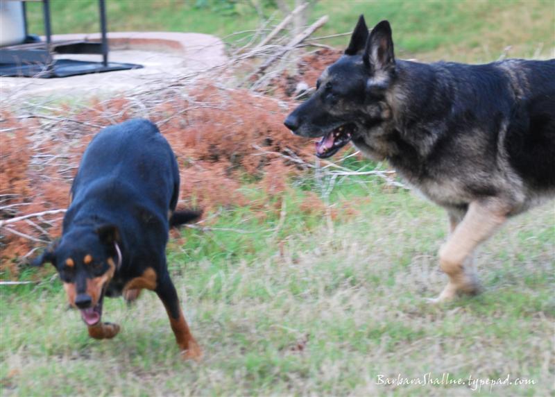 DSC_0023sign (Medium)