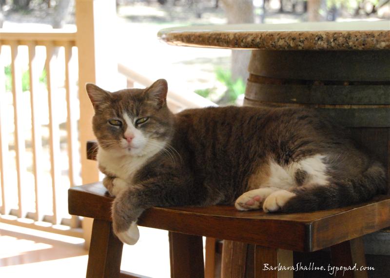 DSC_0248sign (Medium)