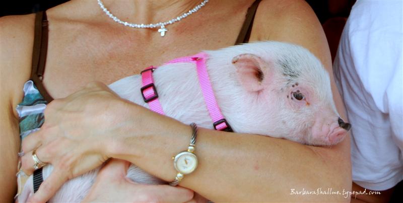 DSC_0091sign (Medium)