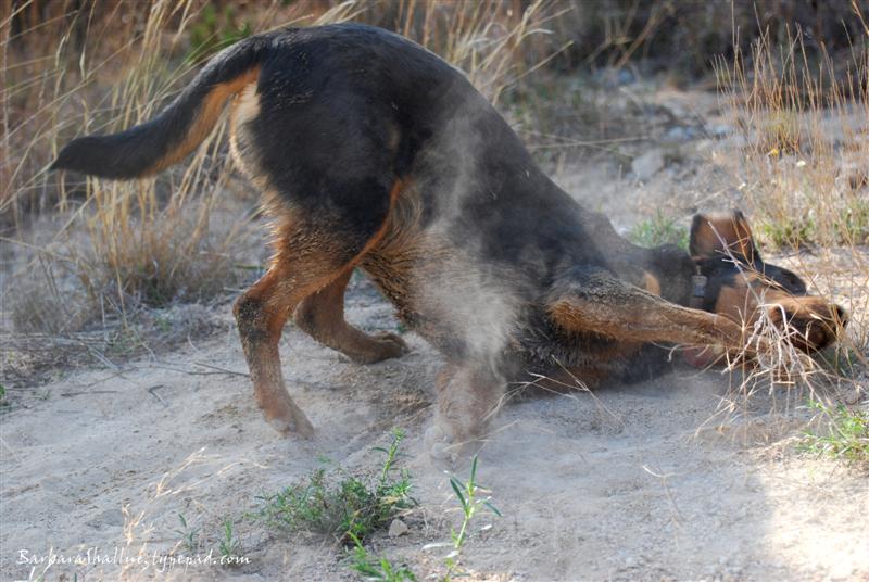 DSC_0106sign (Medium)
