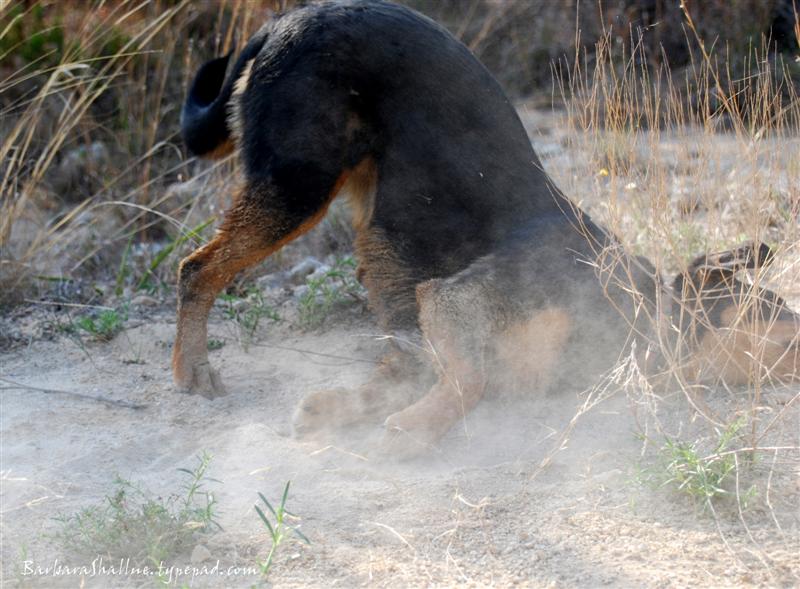 DSC_0107sign (Medium)