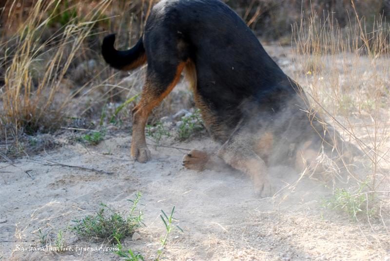 DSC_0108sign (Medium)