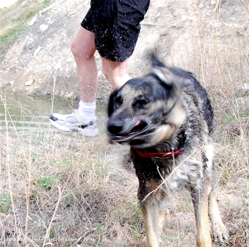 DSC_0033cropsign (Medium)