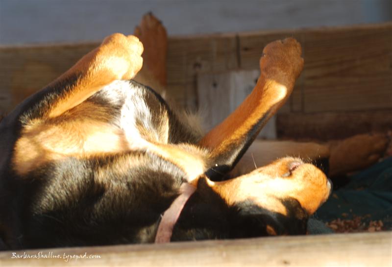 DSC_0054sign (Medium)