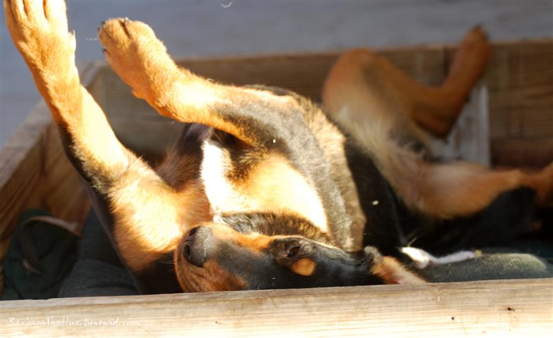 DSC_0051sign (Medium)