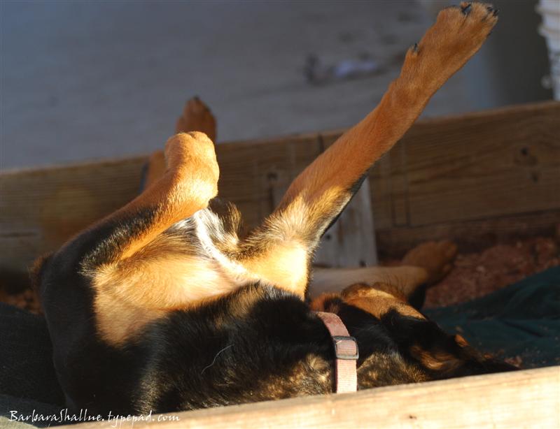 DSC_0060sign (Medium)