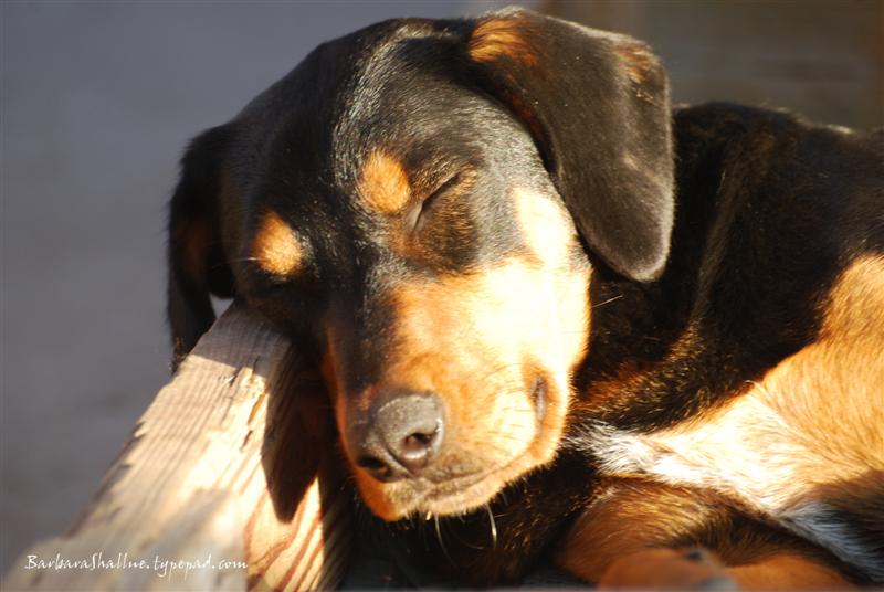 DSC_0049sign (Medium)