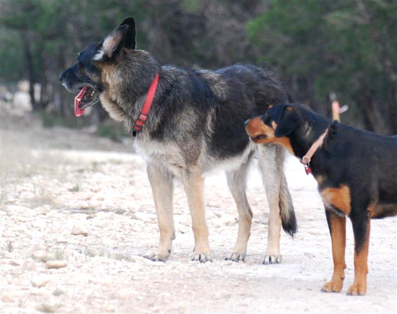 DSC_0278crop (Medium)