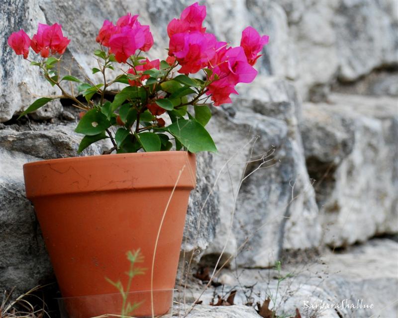 DSC_0068sign (Medium)