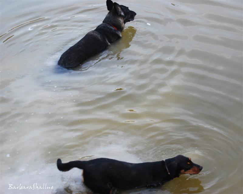 DSC_0041sign (Medium)