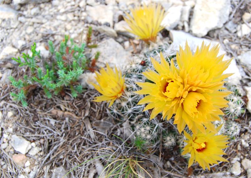 DSC_0130sign (Medium)