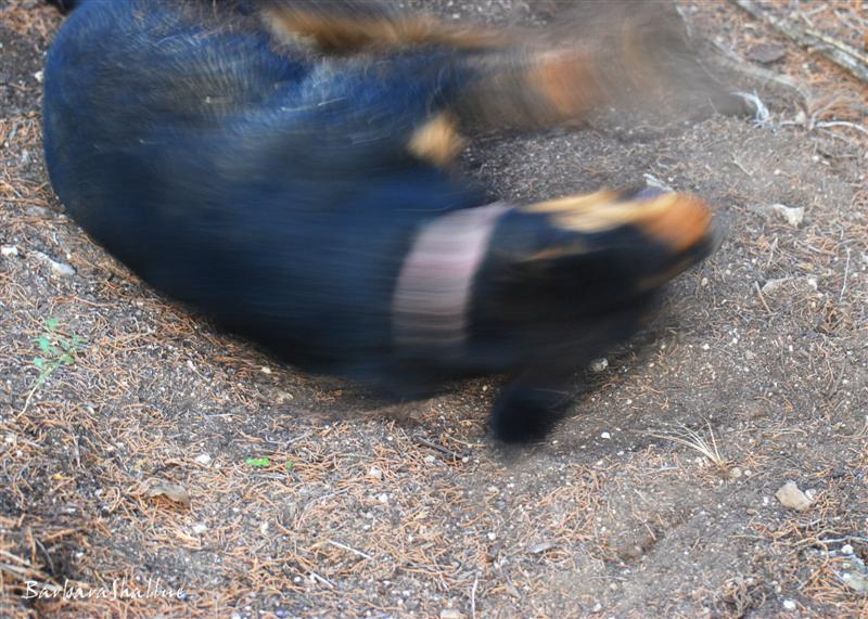 DSC_0046sign (Medium)