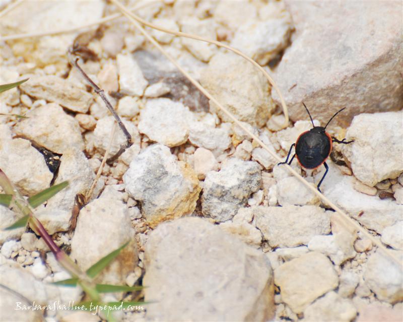 DSC_0037sign (Medium)