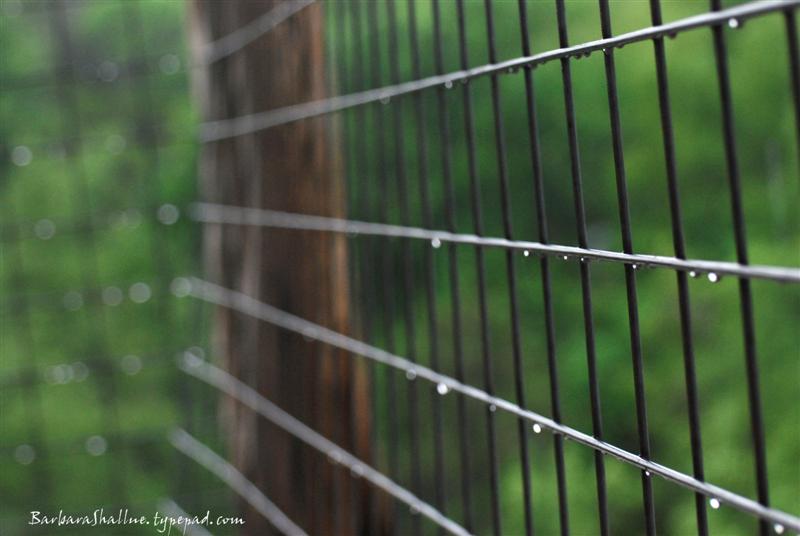 DSC_0061sign (Medium)