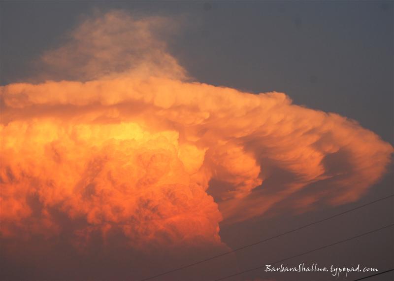 DSC_0015sign (Medium)