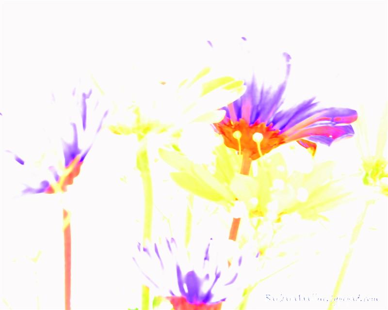 DSC_0127sign (Medium)