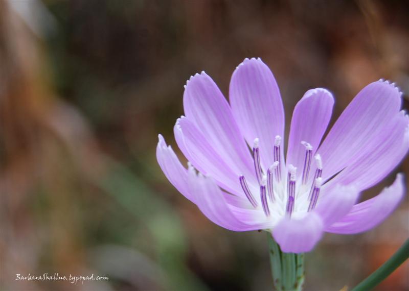 DSC_0035sign (Medium)