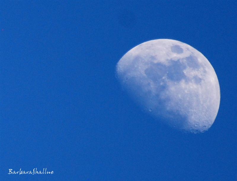 DSC_0033sign (Medium)