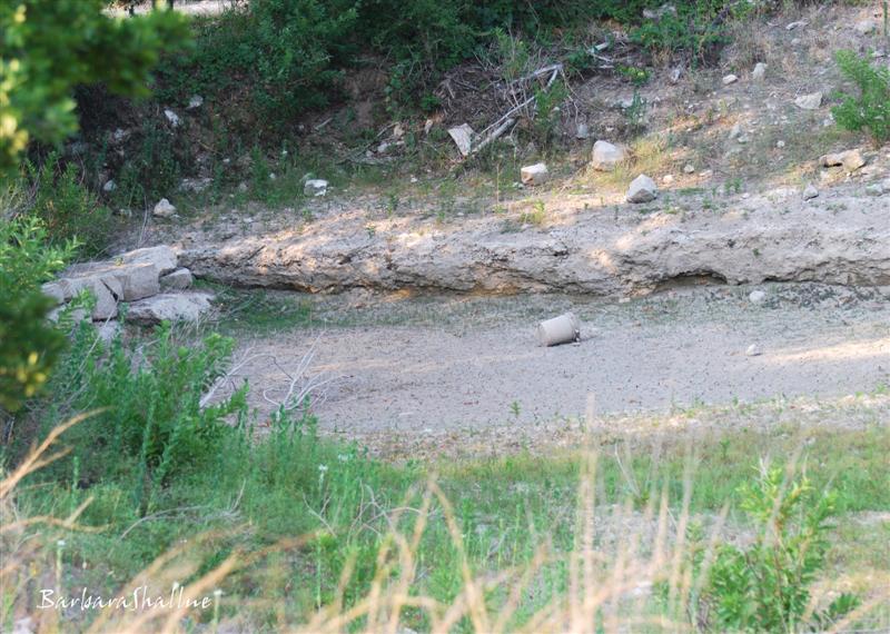 DSC_0087sign (Medium)