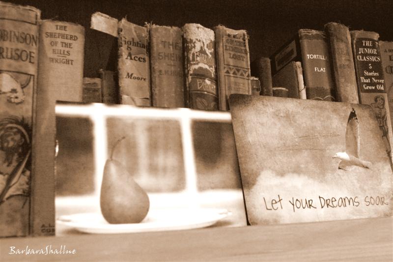 DSC_0015bws (Medium)